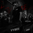 <p>Sobre a logística e o processo da VYBEE</p>